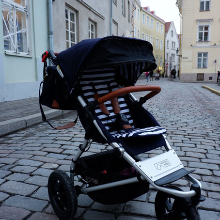 Mountain Buggy Urban Jungle