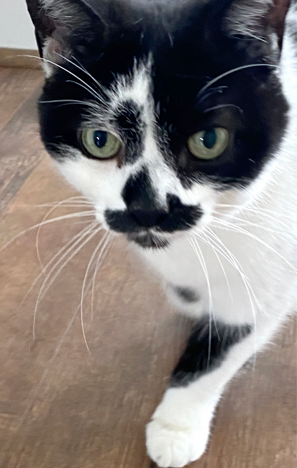 Sid