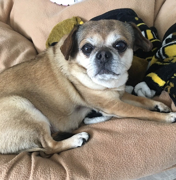 Peggy