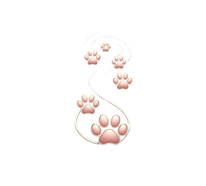 Paws.png