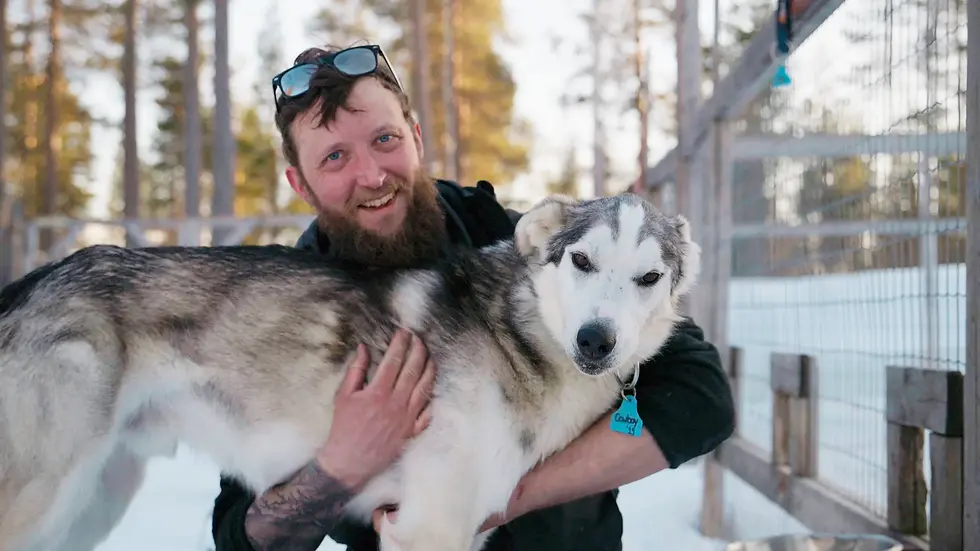 Il a tout quitté pour vivre avec les chiens de traîneaux en Laponie