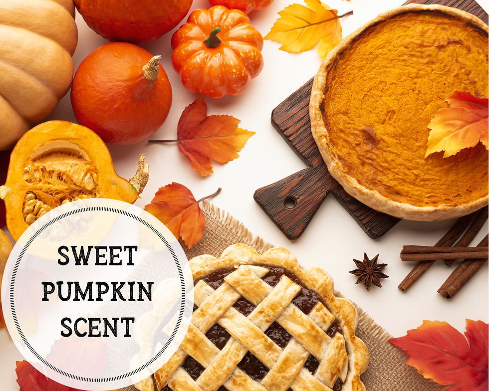 Thumbnail: Tricks 'N' Treats - pumpkin vanilla scented wax melts