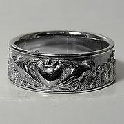 Platinum mountains band