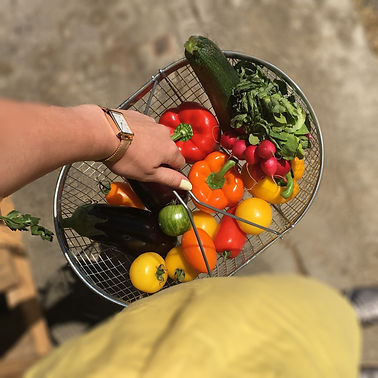 Légumes 1.jpg