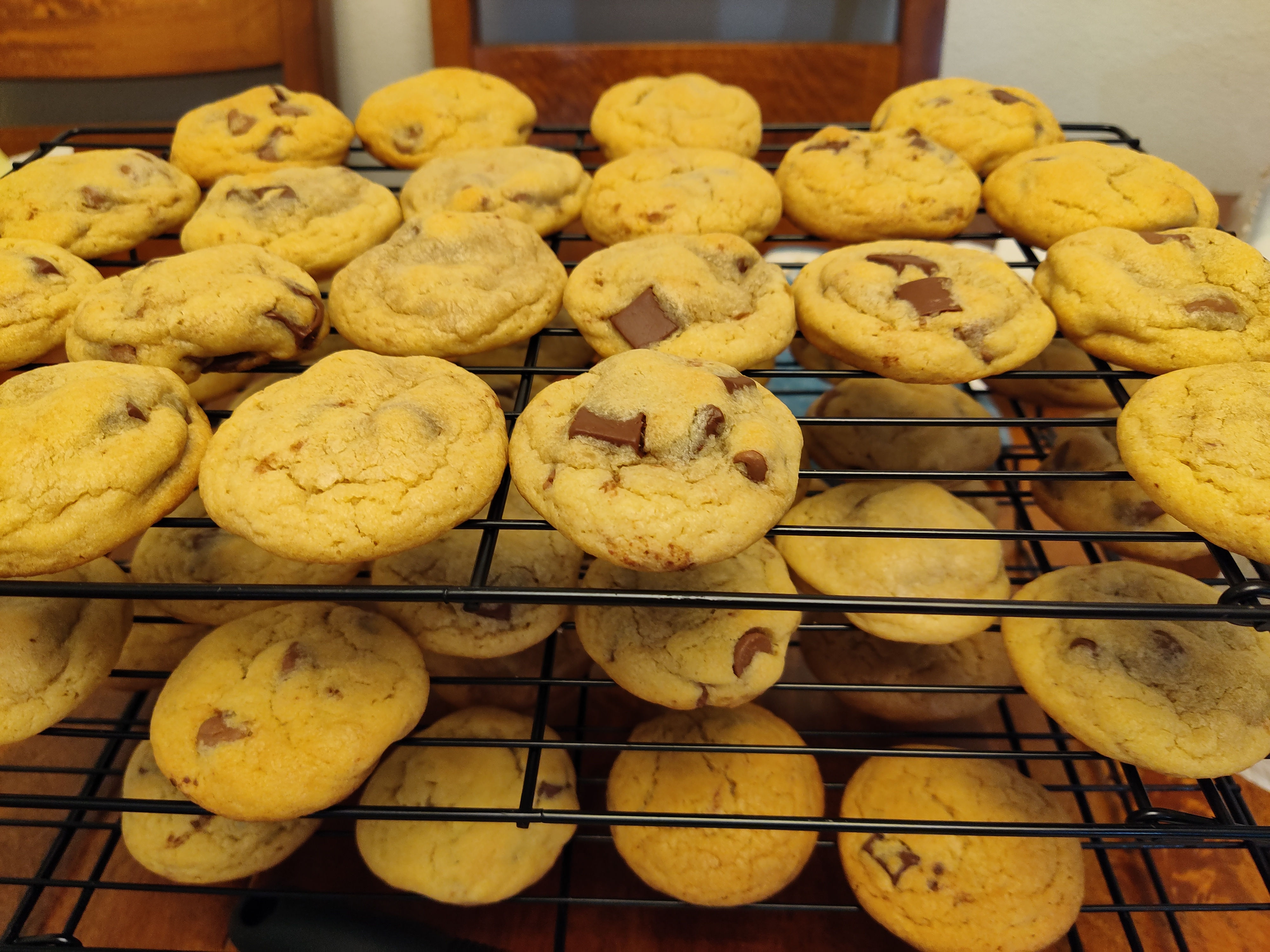 Katie's Chocolate Chip 12ct
