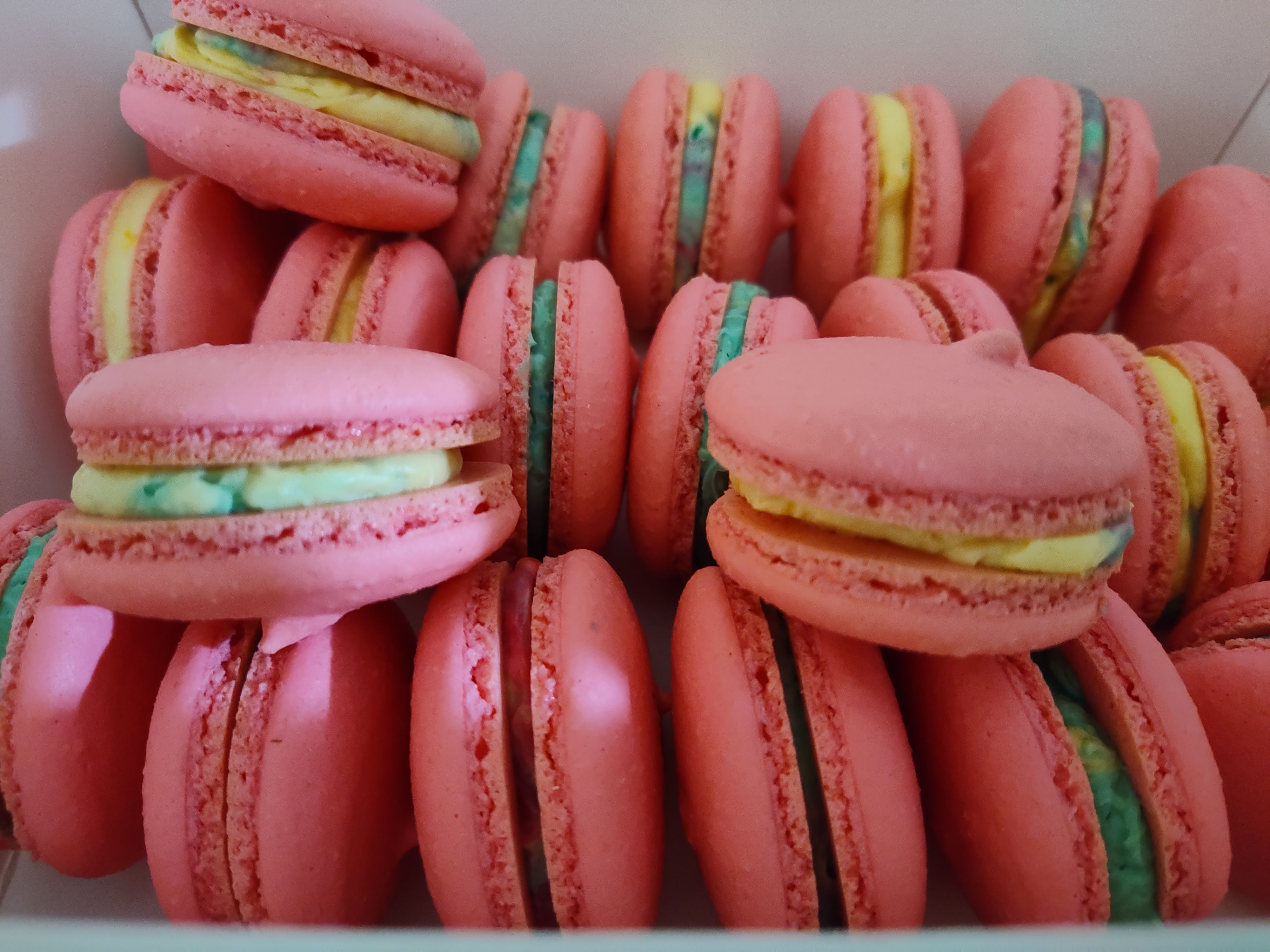 Watermelon Macaron 12 Ct