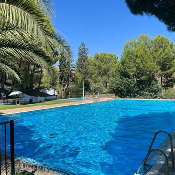A large blue swimming pool surrounded by green grass, astroturf and pine trees. It is bathed in bright sunlight and you can see clear blue skies.
