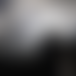 A newly-wed couple are silhouetted against a moody sky with a wood in the background as they look into each others eyes.