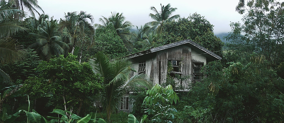 Wooden House in the Forest