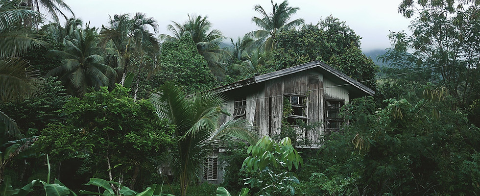 Wooden House in the Forest