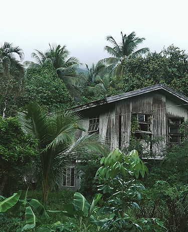 Wooden House in the Forest