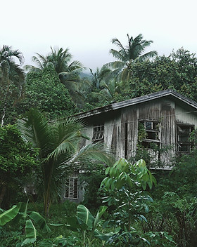 Casa de madera en el bosque