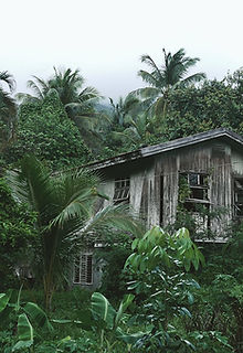 Wooden House in the Forest