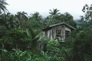 Wooden House in the Forest