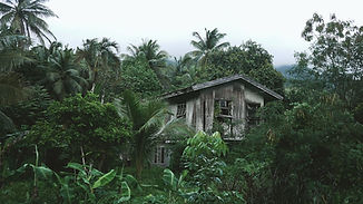 Casa de madera en el bosque