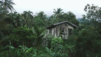 Casa de madera en el bosque