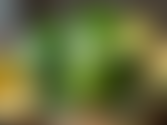 10 Delicious Weight Loss Drinks You Need to Try Today