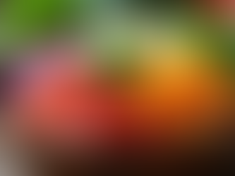 The Power of Probiotics: How They Transform Your Gut Health