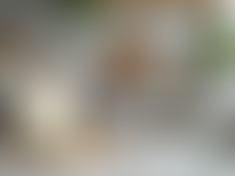 The Ultimate Guide to Choosing the Best Protein Powder for Your Needs