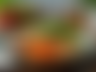 The Ultimate Guide to Effective Weight Loss Strategies