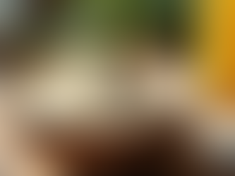 The Ultimate Guide to Whey Protein: Benefits and Best Practices