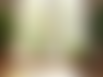 Embracing Holistic Health for a Balanced Lifestyle