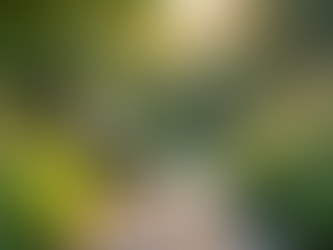 The Ultimate Guide to Enhancing Your Overall Wellbeing