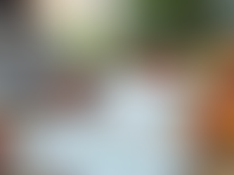 The Essential Role of a Dietitian in Your Health Journey