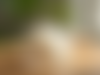 Top 10 Best Moisturizers for Dry Skin You Need to Try