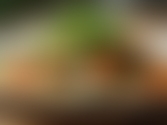 Exploring the Benefits of a Low FODMAP Diet for Digestive Health