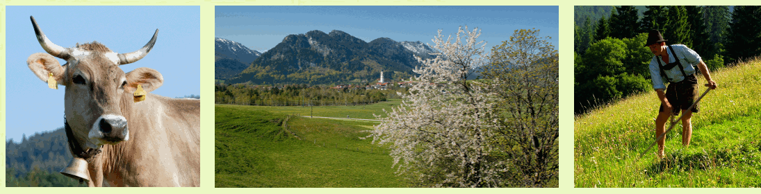Frühjahr