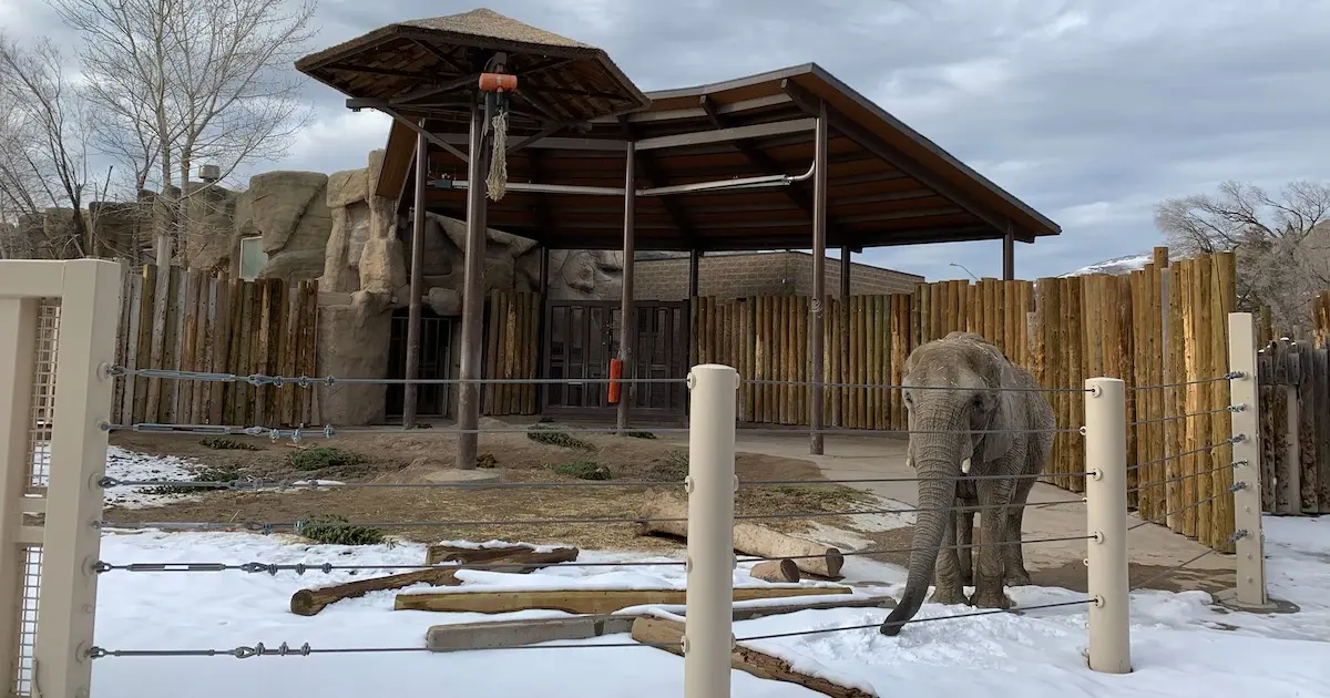 Utah zoo ends elephant keeping
