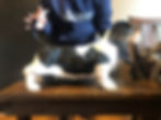 308092603_5172563199522019_3507826671312382282_n