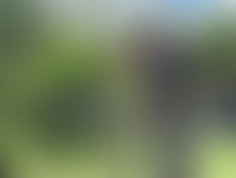 Calendario de Jardinería Mayo 2026
