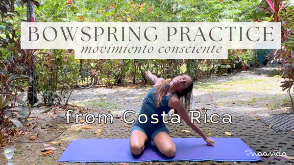 BANNER YOUTUBE VIDEOS NAANDA.png