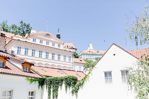 photo_Dara_Rakovcik-2.jpg