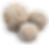 小沙漠玫瑰.png