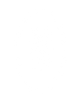 VEZ Brand NEG_Logo completo.png