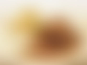 Menu di Natale, i piatti e i vini