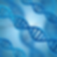 Untitled design (7).png