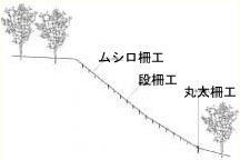 taccobu14.gif