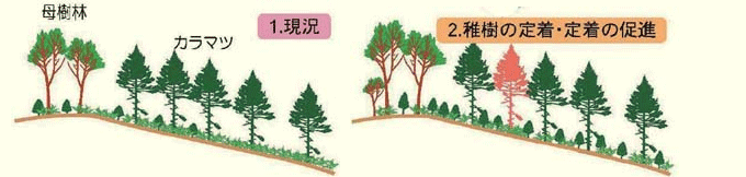 taccobu11.gif