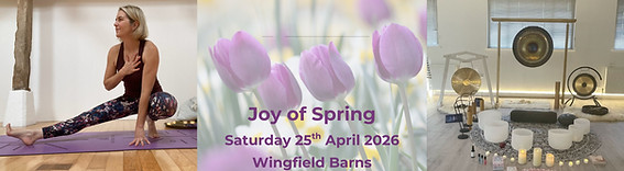 Joy of Spring Day Retreat Email Pic_edited.jpg