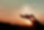 AdobeStock_281209522_edited.jpg