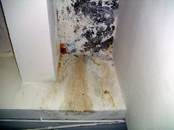 DSCI0582.JPG