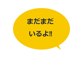 23758594_edited.png