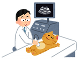 画像①エコー.png