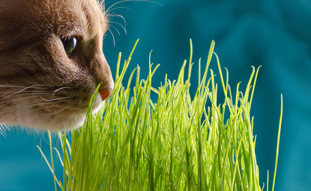 April 2022 FB Cover Photo.jpeg