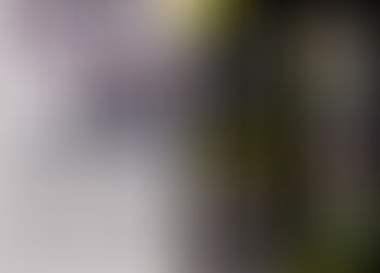 7 libri in 7 giorni: 3 di 7 La Dalia Nera (The Black Dahlia, 1987) Jame