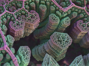 Blastomycocis